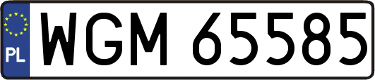 WGM65585