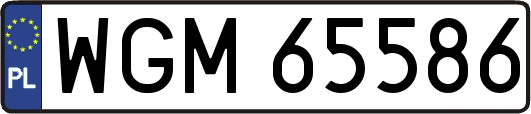 WGM65586