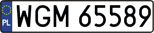 WGM65589