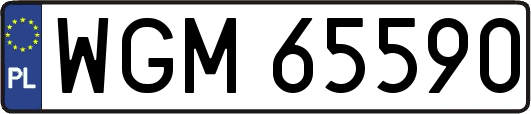 WGM65590