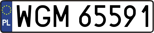 WGM65591