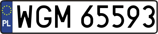 WGM65593