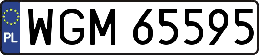 WGM65595