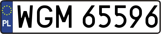 WGM65596