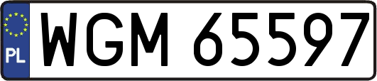WGM65597