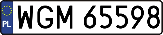 WGM65598