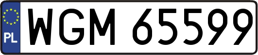 WGM65599
