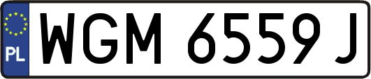 WGM6559J