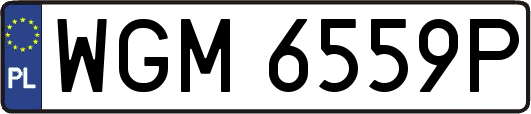 WGM6559P