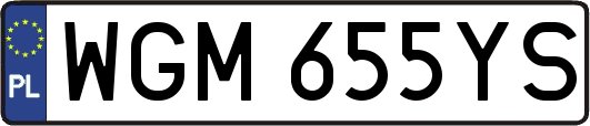 WGM655YS