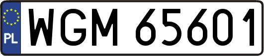 WGM65601