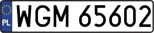 WGM65602