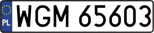 WGM65603