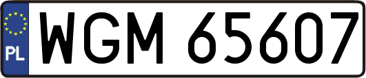 WGM65607