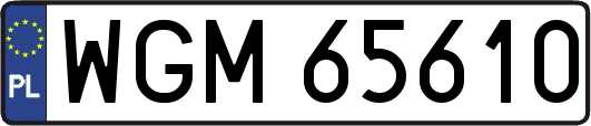 WGM65610