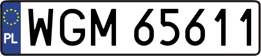 WGM65611