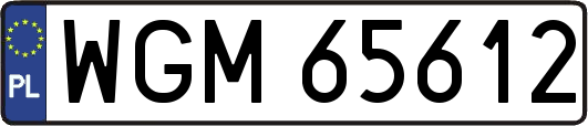 WGM65612