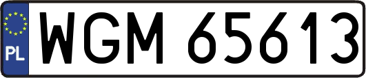 WGM65613