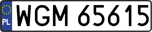 WGM65615