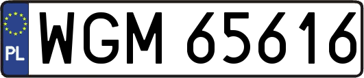 WGM65616
