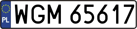 WGM65617