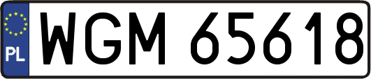 WGM65618