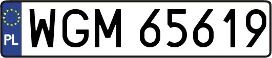 WGM65619
