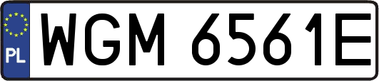 WGM6561E