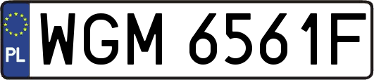 WGM6561F