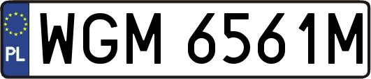 WGM6561M