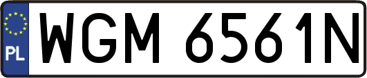 WGM6561N