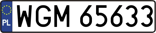 WGM65633