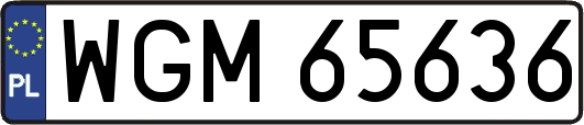 WGM65636