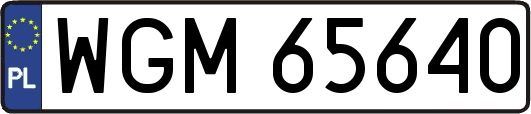 WGM65640