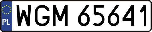 WGM65641