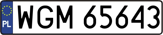 WGM65643