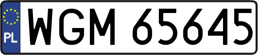 WGM65645