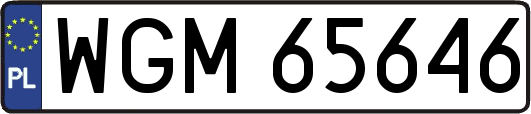 WGM65646