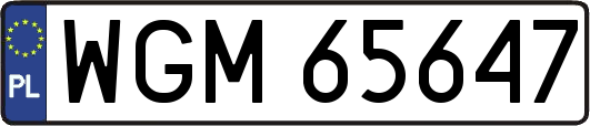 WGM65647