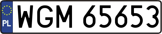 WGM65653