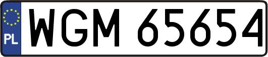 WGM65654