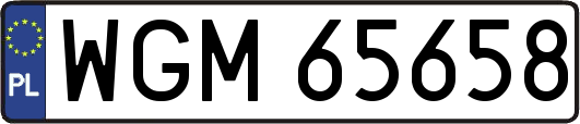WGM65658