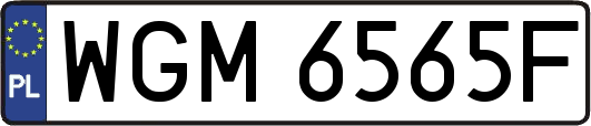 WGM6565F