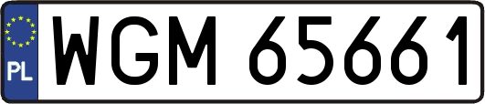 WGM65661