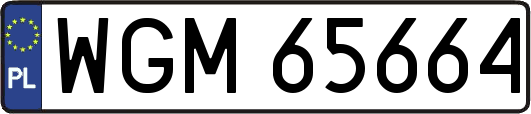 WGM65664