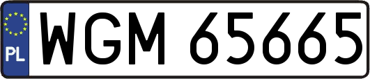 WGM65665