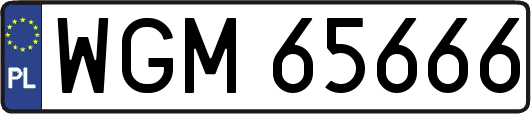 WGM65666