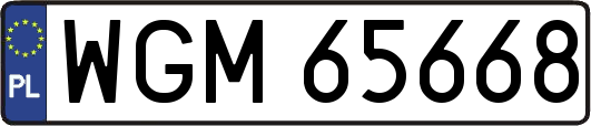 WGM65668