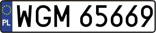 WGM65669