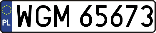 WGM65673